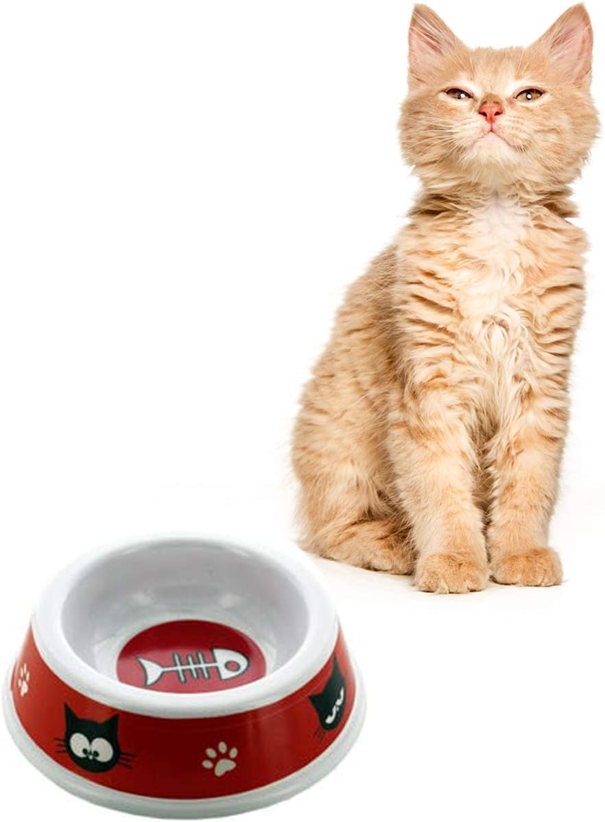PLATO MASCOTA
