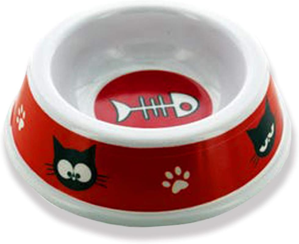 PLATO MASCOTA